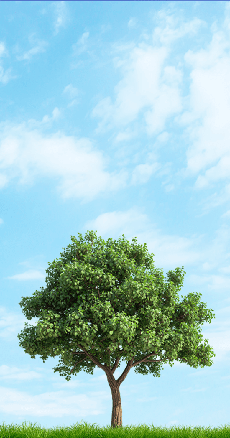 Landscape construction vision