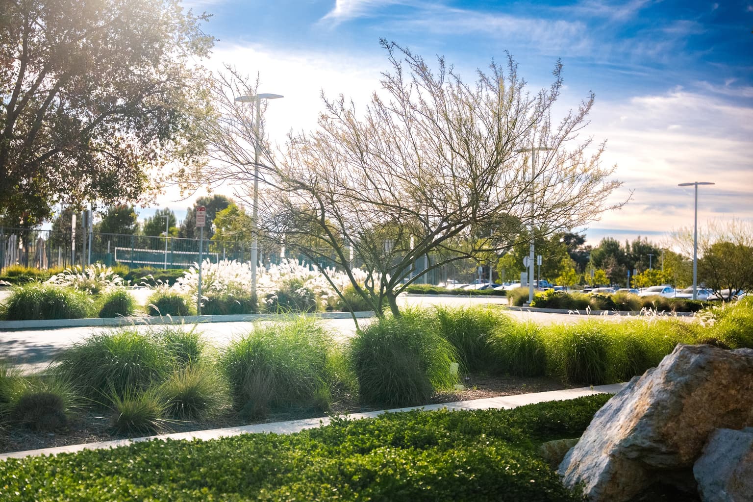 Broadcom Campus